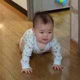 ハイハイする赤ちゃん