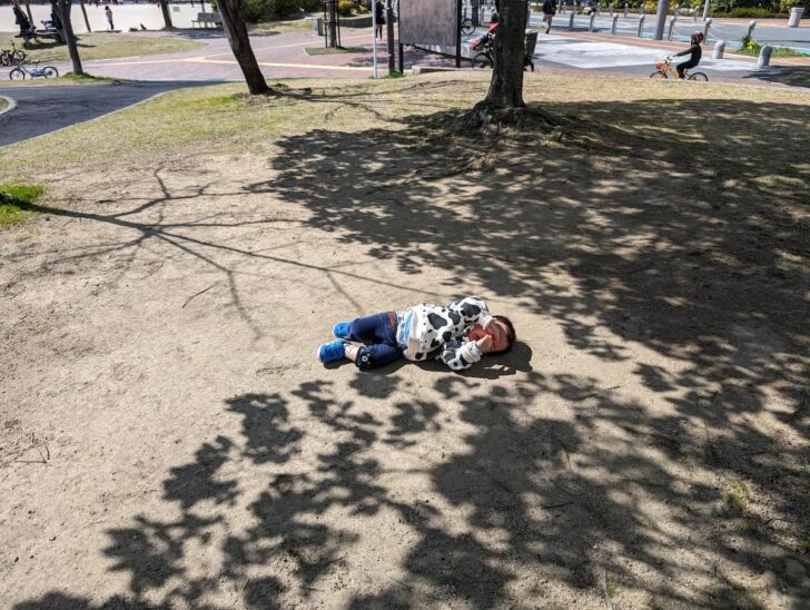 イヤイヤと地面に転がる我が子