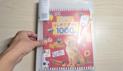 ボロボロに破れた「はじめてずかん1000」の補修方法。一番かんたんなやり方はこれ